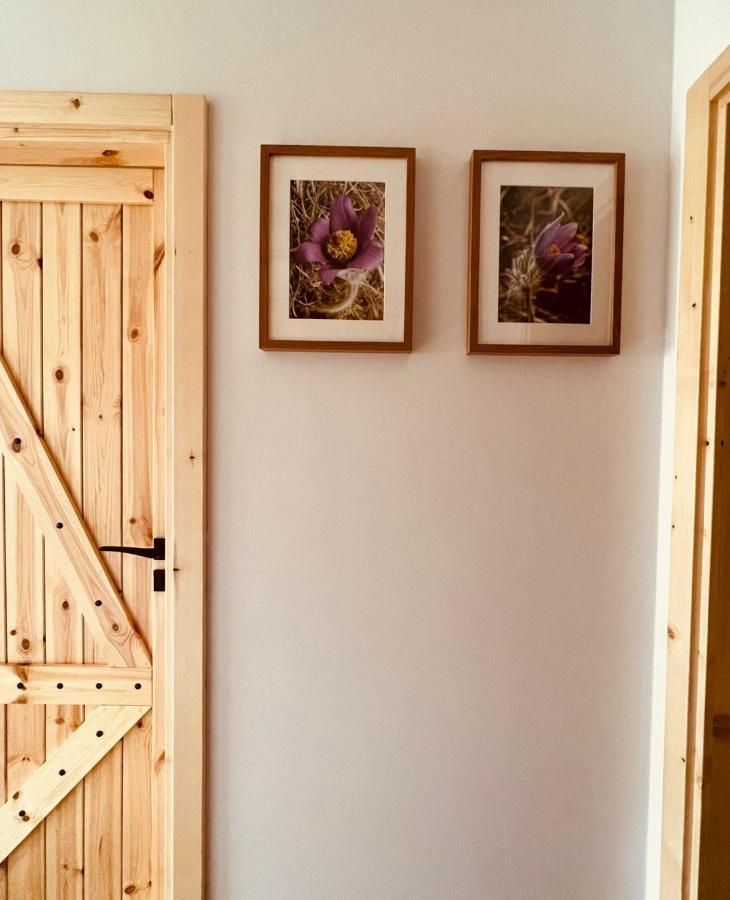 Sasanka - Gorski Apartament Z Ogrodkiem Zakopane Buitenkant foto